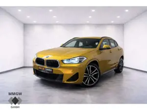 BMW X2 xDrive 18 d M Sport Park-Assistent/Sportpaket/Navi