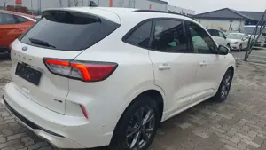 Ford Kuga Hybrid ST-Line X,Kamera vorne y hinten, Nav Bild 2