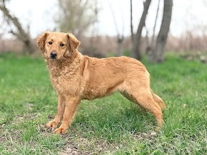 *TIANA* - lieb, freundlich, sozial, sanft, menschenbezogen