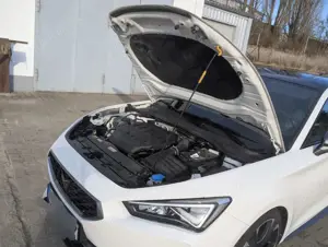 CUPRA Leon Cupra Leon 2.0 TSI DSG VZ Bild 4