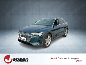 Audi e-tron 55 qu. VirtSpiegel PANO HUD AHK 20 TV Cam