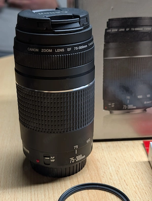 Canon EOS 2000D 18-55mm IS II Kit + CANON EF 75 mm - 300 mm f 4-5.6 III Bild 4