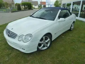 Mercedes-Benz CLK 500 Cabrio (BM 209)
