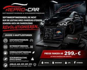 Softwareoptimierung Leistungssteigerung ab 299 