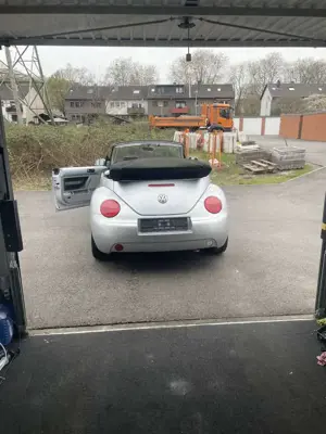 Volkswagen Beetle Bild 3