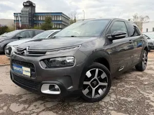 Citroen C4 Cactus Shine Pack