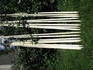 Bohnenstangen aus heimischer Fichte