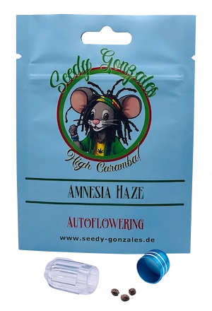 Amnesia Haze 3 Samen