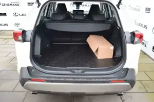 Toyota RAV 4 RAV4 Hybrid 4x2 Team Deutschland*Taxi* Bild 5