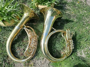 Biete Blasinstrumente Bild 3