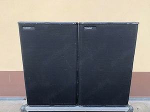 2 TW Audio T24 Teile inklusive Doppelgehäuse