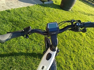 E-Bike Riese & Müller Bild 8