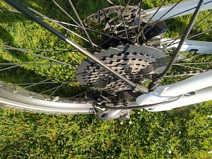 E-Bike Riese & Müller Bild 6