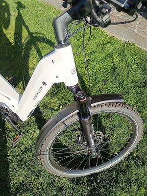 E-Bike Riese & Müller Bild 9