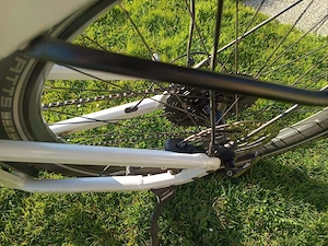 E-Bike Riese & Müller Bild 4