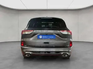 Ford Kuga 2.5 Duratec PHEV ST-LINE X Pano Bild 5