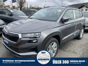 Skoda Karoq 2.0 TDI DSG 4x4 Selection, AHK, LED, Kamera, Winte