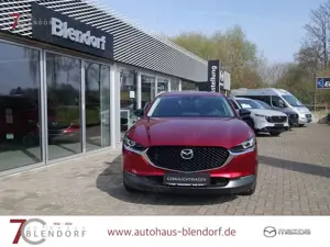 Mazda CX-30 Homura X 186 Automatik 360°|Navigation|Bose|LED Bild 4