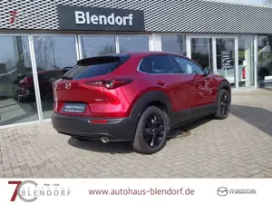 Mazda CX-30 Homura X 186 Automatik 360°|Navigation|Bose|LED Bild 5