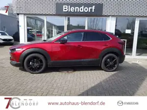 Mazda CX-30 Homura X 186 Automatik 360°|Navigation|Bose|LED Bild 3