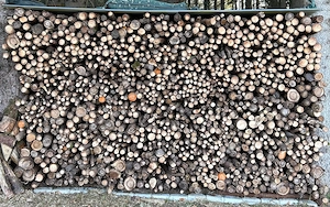 Brennholz zu verkaufen, Fichtenäste, 1m lang, ca. 4,75 Ster