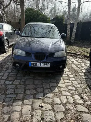 SEAT Ibiza 2.0 GTI