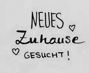 3 Zimmer Dachgeschoss Wohnung  