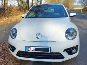 Volkswagen Beetle 1.4 TSI - R-LINE Sport - 73500 km - 1A-Ausstattung Bild 3