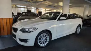 BMW 220 i/8xAlu/BiXen/Navi/SHZ/Sportsitze/Temp/31tkm