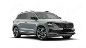 Skoda Karoq 1.5 TSI Sportline Pano AHK Matrix 19" Side