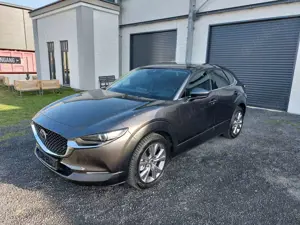 Mazda CX-30 Selection 2WD/Navi/Kamera/SHZ/wenig KM
