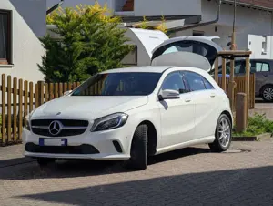 Mercedes-Benz A 250 A 250 BlueEfficiency (176.044)
