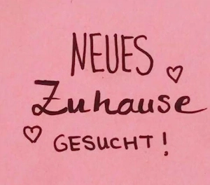  3 ZKB-Wohnung in 61250 Usingen gesucht  