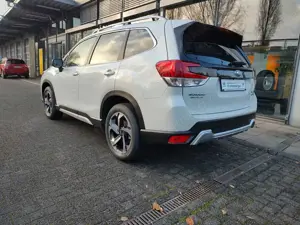 Subaru Forester 2.0ie Platinum Leder Schiebedach Navi Bild 3