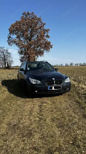BMW 525 525d