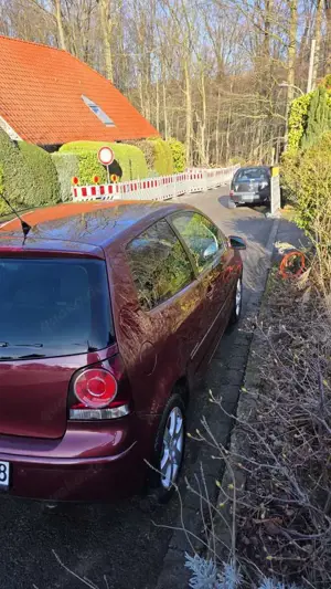 Volkswagen Polo 1.2 United Bild 2