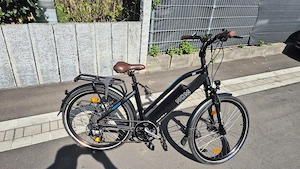 E - Bike Milano Plus Bild 5