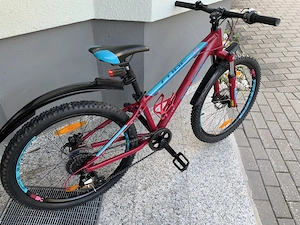 CUBE 24-Zoll, ARS-Race-Alu-Technology, Top-Zustand,