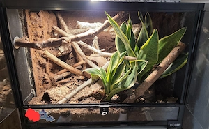 'Hobby' Terrarium.  60x45x45 