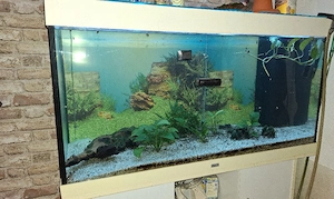350 l aquarium mit unterschrank 