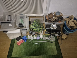Terrarien Terrarium Zubehör Komplett 