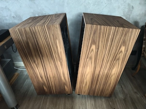 Pylon Jade 30 Lautsprecher im Top Zustand