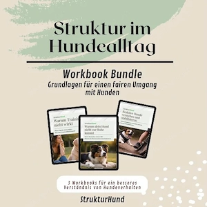 Verhalten verstehen   Grundlagen für den Hundealltag Bundle (PDF)