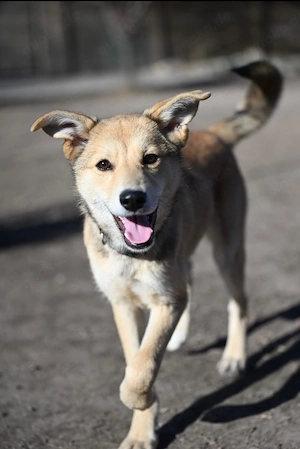 Ich bin eine kuschelmaus und suche Dich.