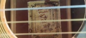 Spanische Gitarre Alvaro S 103