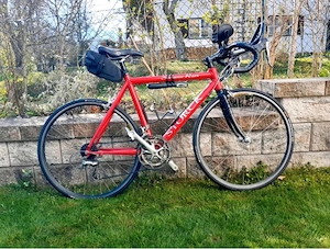 STORCK Rennrad "Szenario Race"