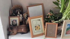 Bilderrahmen  abzugeben 