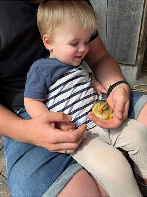 Laufenten Küken und Bruteier