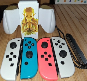 Nintendo Switch Controller Set