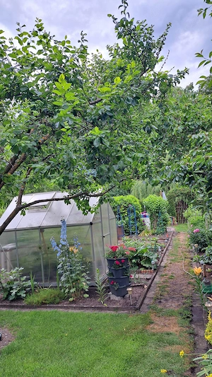 Pacht-Schrebergarten in Strausberg zu verkaufen 